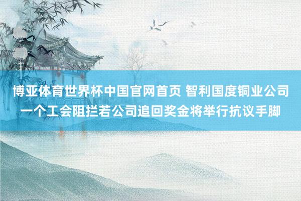 博亚体育世界杯中国官网首页 智利国度铜业公司一个工会阻拦若公司追回奖金将举行抗议手脚
