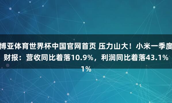 博亚体育世界杯中国官网首页 压力山大！小米一季度财报：营收同