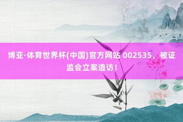 博亚·体育世界杯(中国)官方网站 002535，被证监会立案造访！