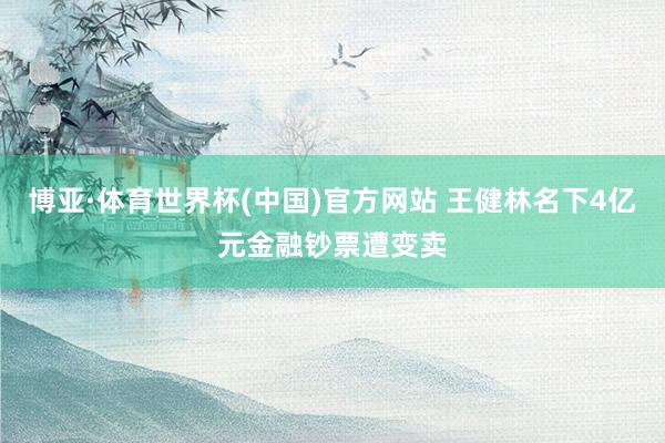 博亚·体育世界杯(中国)官方网站 王健林名下4亿元金融钞票遭变卖