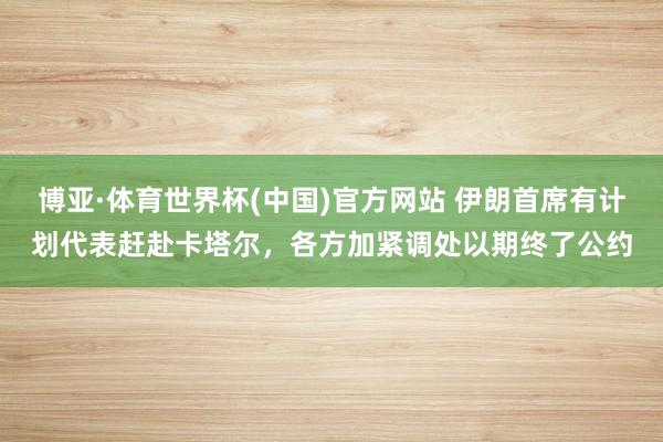 博亚·体育世界杯(中国)官方网站 伊朗首席有计划代表赶赴卡塔