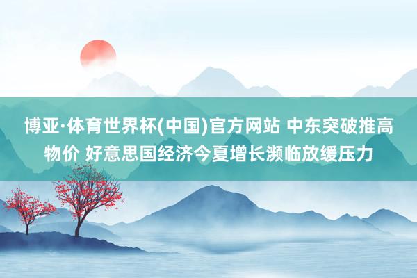 博亚·体育世界杯(中国)官方网站 中东突破推高物价 好意思国经济今夏增长濒临放缓压力