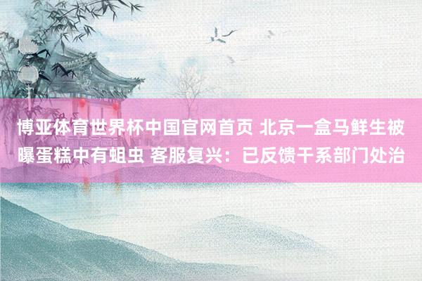 博亚体育世界杯中国官网首页 北京一盒马鲜生被曝蛋糕中有蛆虫 客服复兴：已反馈干系部门处治