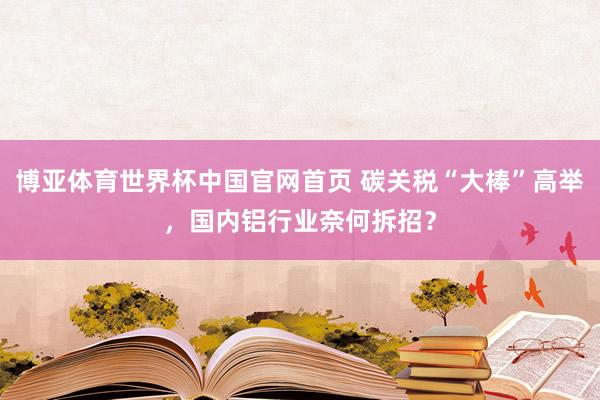 博亚体育世界杯中国官网首页 碳关税“大棒”高举，国内铝行业奈何拆招？