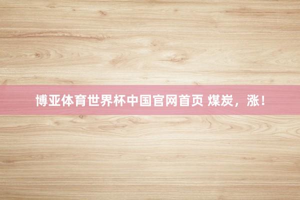 博亚体育世界杯中国官网首页 煤炭，涨！