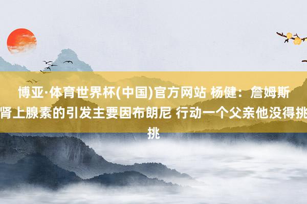 博亚·体育世界杯(中国)官方网站 杨健：詹姆斯肾上腺素的引发主要因布朗尼 行动一个父亲他没得挑