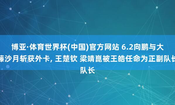 博亚·体育世界杯(中国)官方网站 6.2向鹏与大藤沙月斩获外卡, 王楚钦 梁靖崑被王皓任命为正副队长