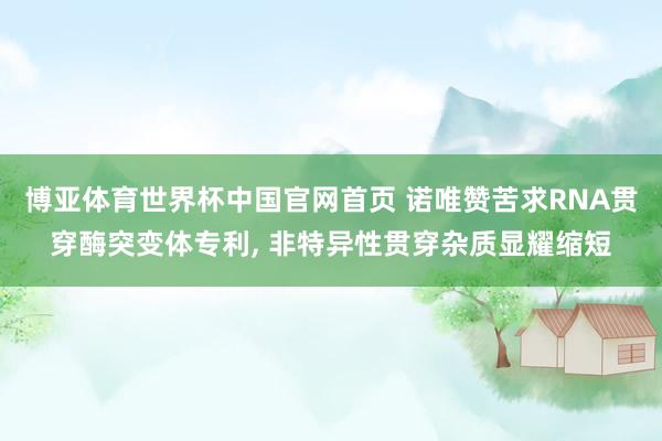 博亚体育世界杯中国官网首页 诺唯赞苦求RNA贯穿酶突变体专利, 非特异性贯穿杂质显耀缩短