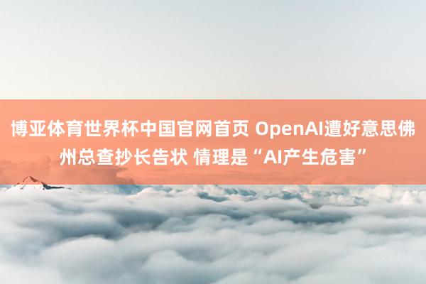 博亚体育世界杯中国官网首页 OpenAI遭好意思佛州总查抄长