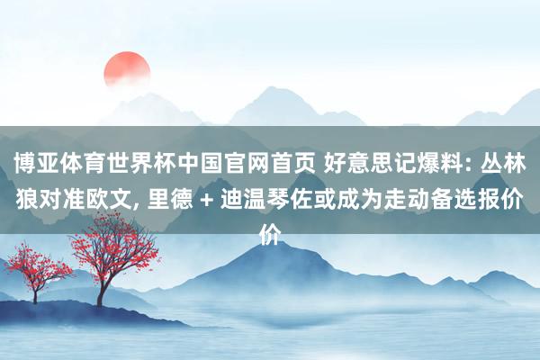博亚体育世界杯中国官网首页 好意思记爆料: 丛林狼对准欧文， 里德 + 迪温琴佐或成为走动备选报价